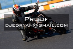 MG_7976 MG_7976