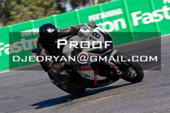 MG_8060 MG_8060